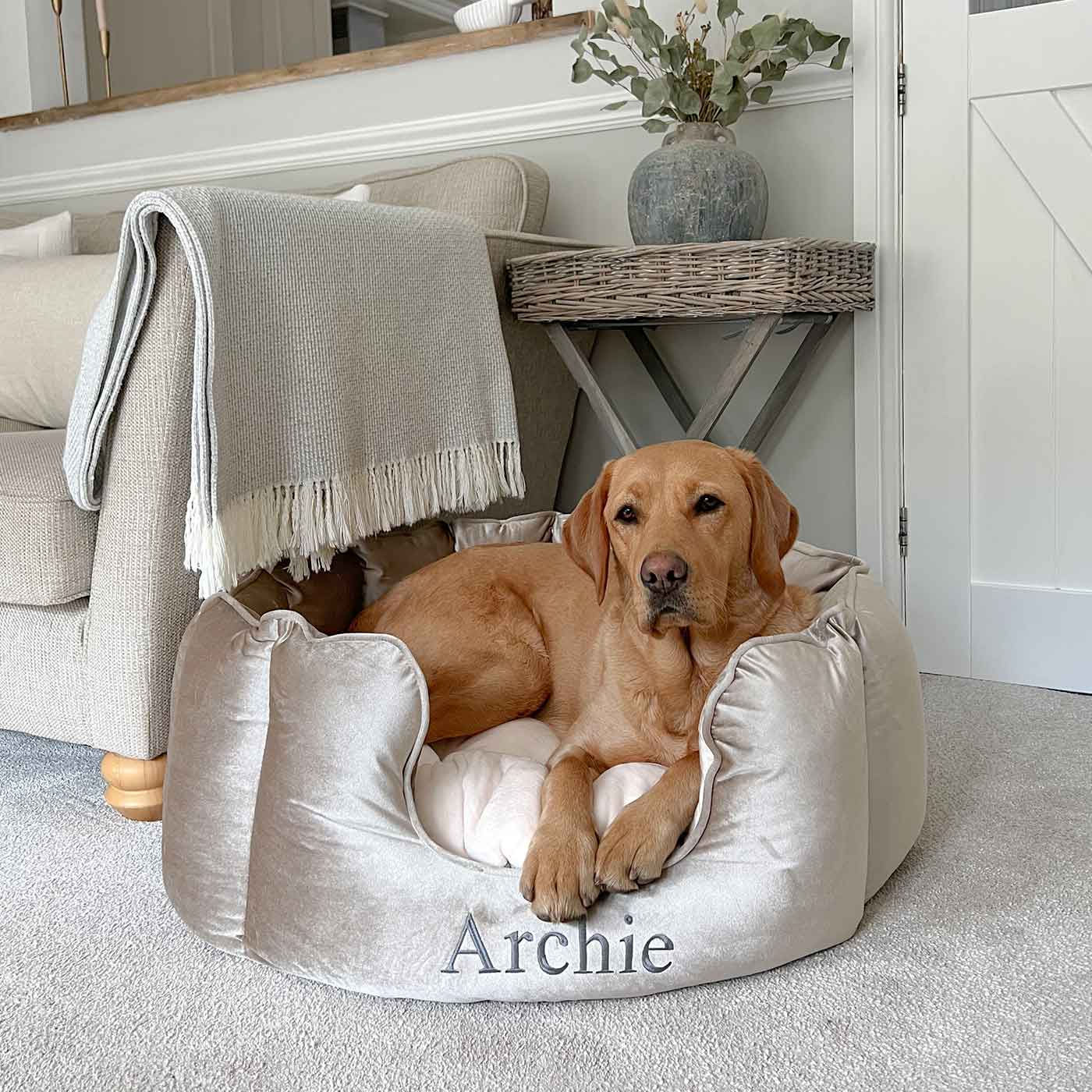 Discover Our Luxurious High Wall Velvet Bed For Dogs, Featuring inner pillow with plush teddy fleece on one side To Craft The Perfect Dogs Bed In Stunning Mushroom Velvet! Available To Personalize Now at Lords & Labradors US