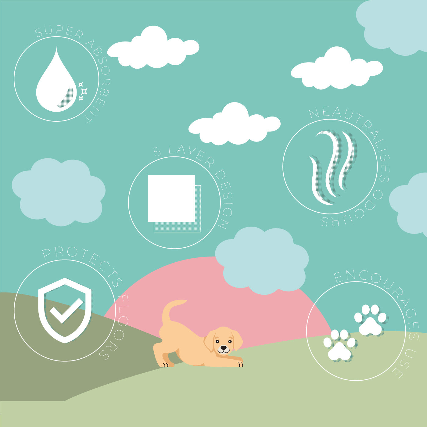 Discover Puppy Training Pads, 50 pads per pack. Featuring Super absorbent with 5 layers absorbency, and Makes house training easy and protects floors. Reducing smelly odours, Perfect for training puppies, travelling, ill or confined dogs. now available at Lords and Labradors US