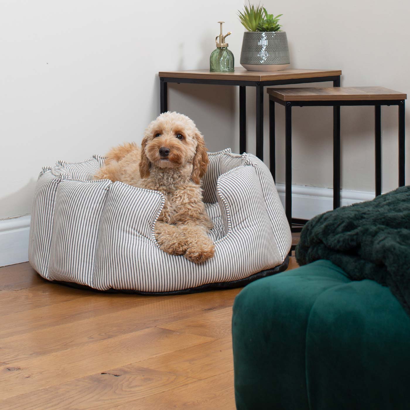 Discover Our Luxurious High Wall Bed For Dogs & Puppies, Featuring Reversible Inner Cushion With Teddy Fleece To Craft The Perfect Dog Bed In Stunning Regency Stripe! Available To Personalize Now at Lords & Labradors US