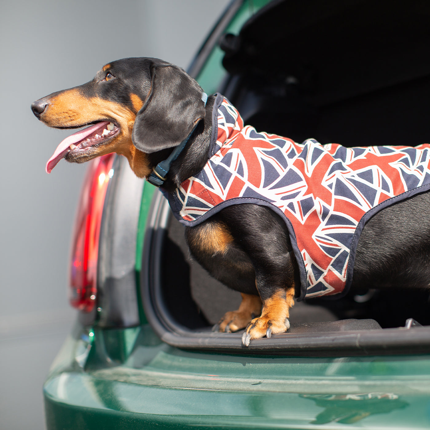 Accessorize Your Pet, With Our Stunning Dachshund Fleece, in Union Jack! Comes In five Size, And Totally Machine Washable, Available To Personalize Now at Lords & Labradors US