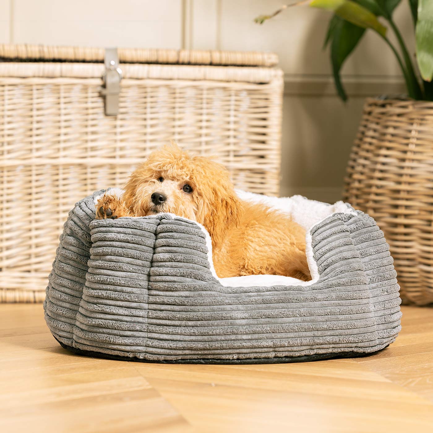 Discover Our Luxurious High Wall Bed For Dogs, Featuring inner pillow with plush teddy fleece on one side To Craft The Perfect Dog Bed In Stunning Essentials Dark Grey Plush! Available To Personalize Now at Lords & Labradors US