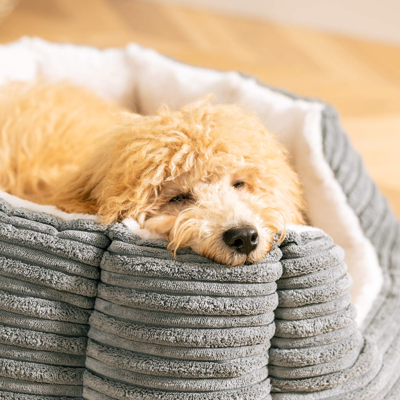 Discover Our Luxurious High Wall Bed For Dogs, Featuring inner pillow with plush teddy fleece on one side To Craft The Perfect Dog Bed In Stunning Essentials Dark Grey Plush! Available To Personalize Now at Lords & Labradors US