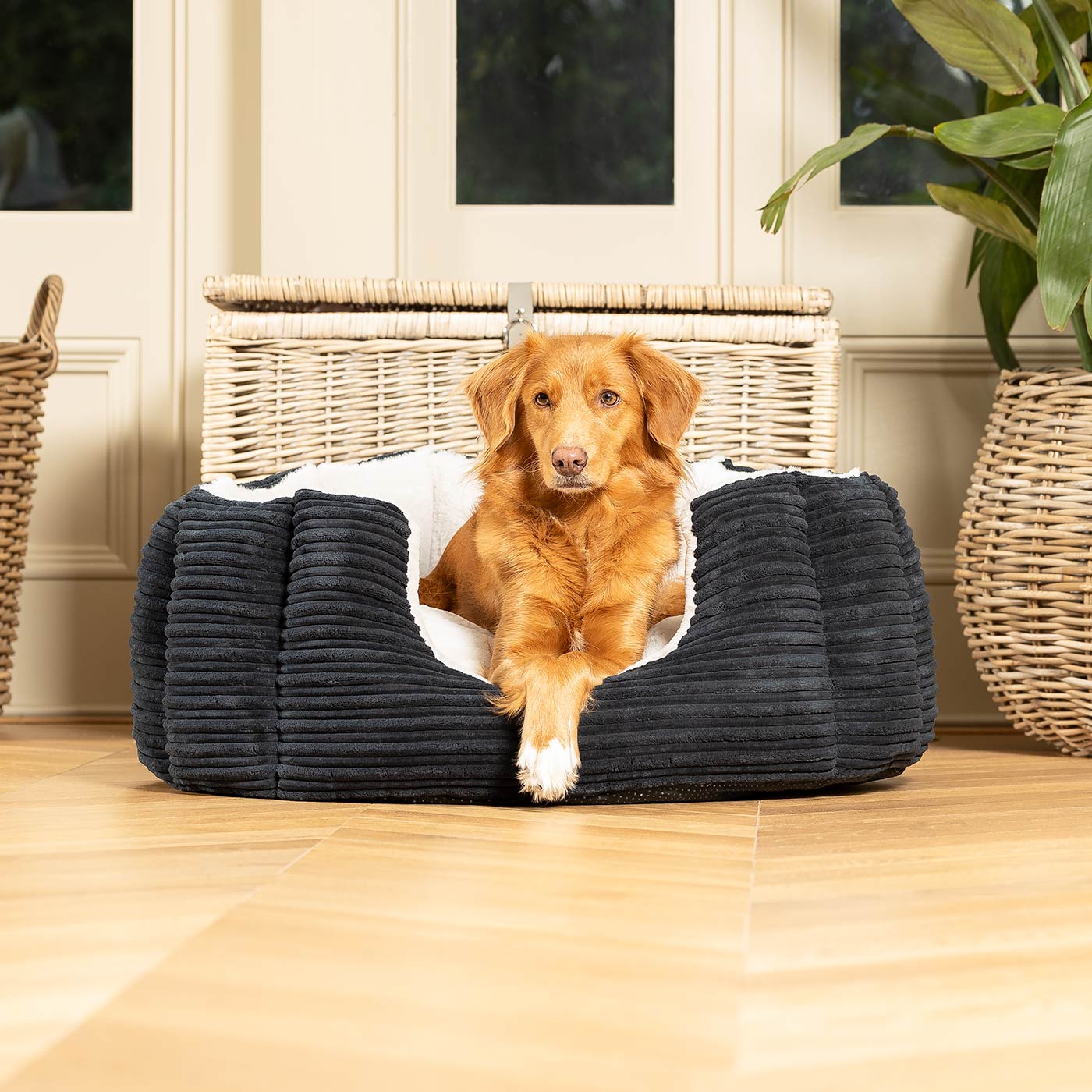 Discover Our Luxurious High Wall Bed For Dogs, Featuring inner pillow with plush teddy fleece on one side To Craft The Perfect Dog Bed In Stunning Essentials Navy Plush! Available To Personalize Now at Lords & Labradors US