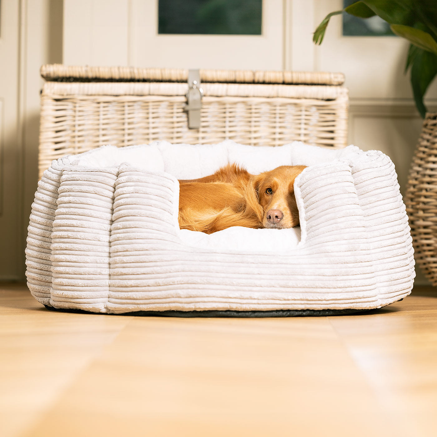 Discover Our Luxurious High Wall Bed For Dogs, Featuring inner pillow with plush teddy fleece on one side To Craft The Perfect Dog Bed In Stunning Essentials Light Grey Plush! Available To Personalize Now at Lords & Labradors US