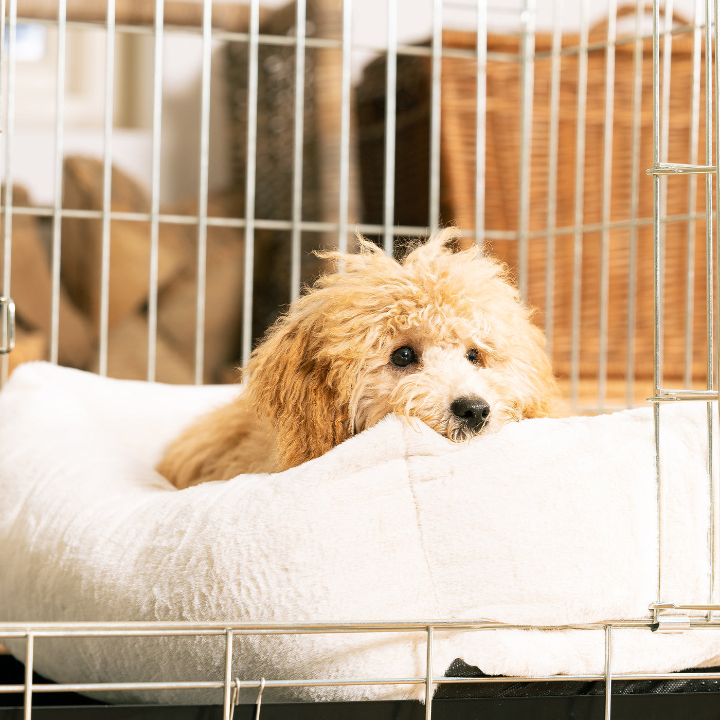 Cozy & Calming Puppy Cage Bed, The Perfect Dog Cage Accessory For The Ultimate Dog Den! In Stunning Anti-Anxiety Cream Faux Fur! Available To Personalize at Lords & Labradors US