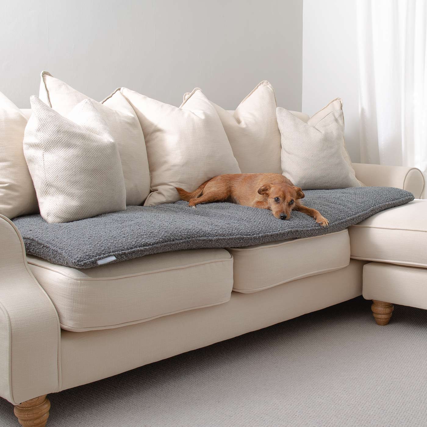 Discover Our Luxury Boucle Couch Topper, The Perfect Pet couch Accessory In Stunning Granite! Available Now at Lords & Labradors US