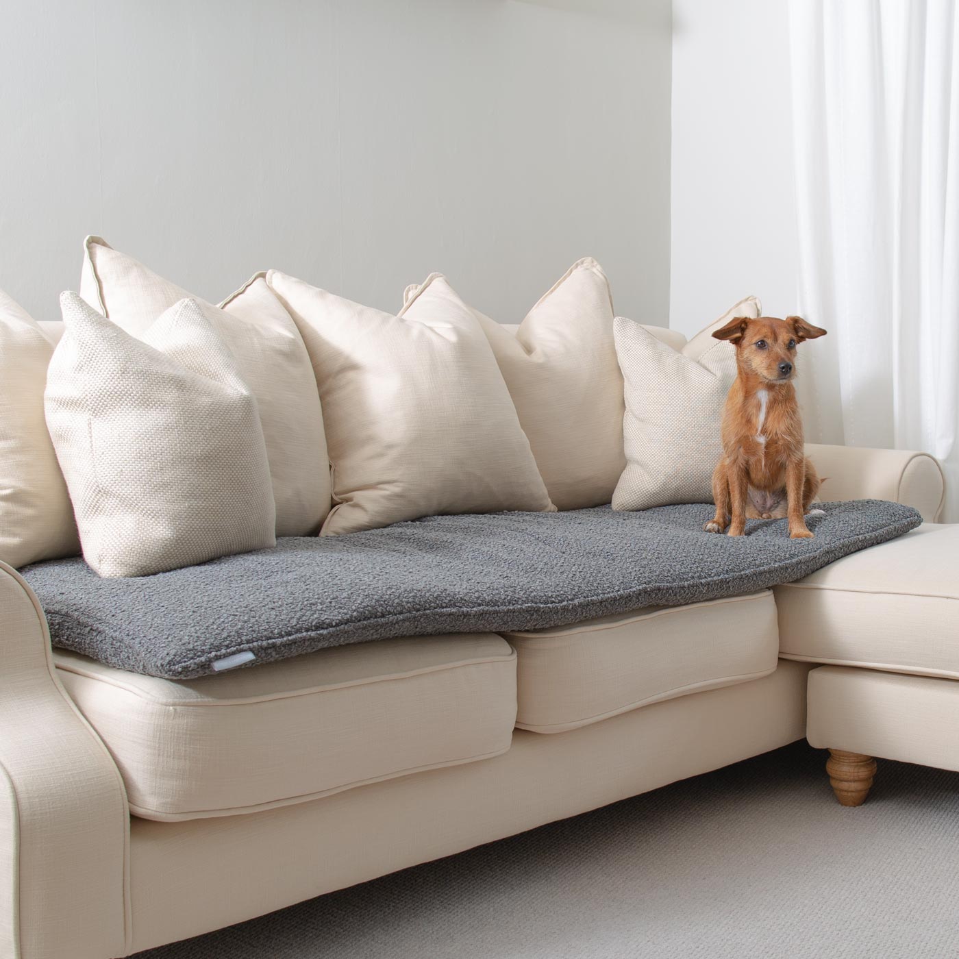 Discover Our Luxury Boucle Couch Topper, The Perfect Pet couch Accessory In Stunning Granite! Available Now at Lords & Labradors US