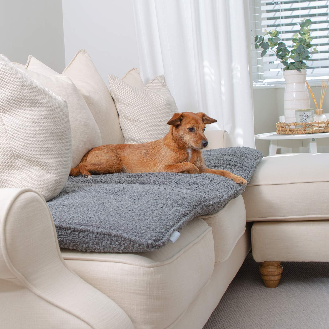 Discover Our Luxury Boucle Couch Topper, The Perfect Pet couch Accessory In Stunning Granite! Available Now at Lords & Labradors US