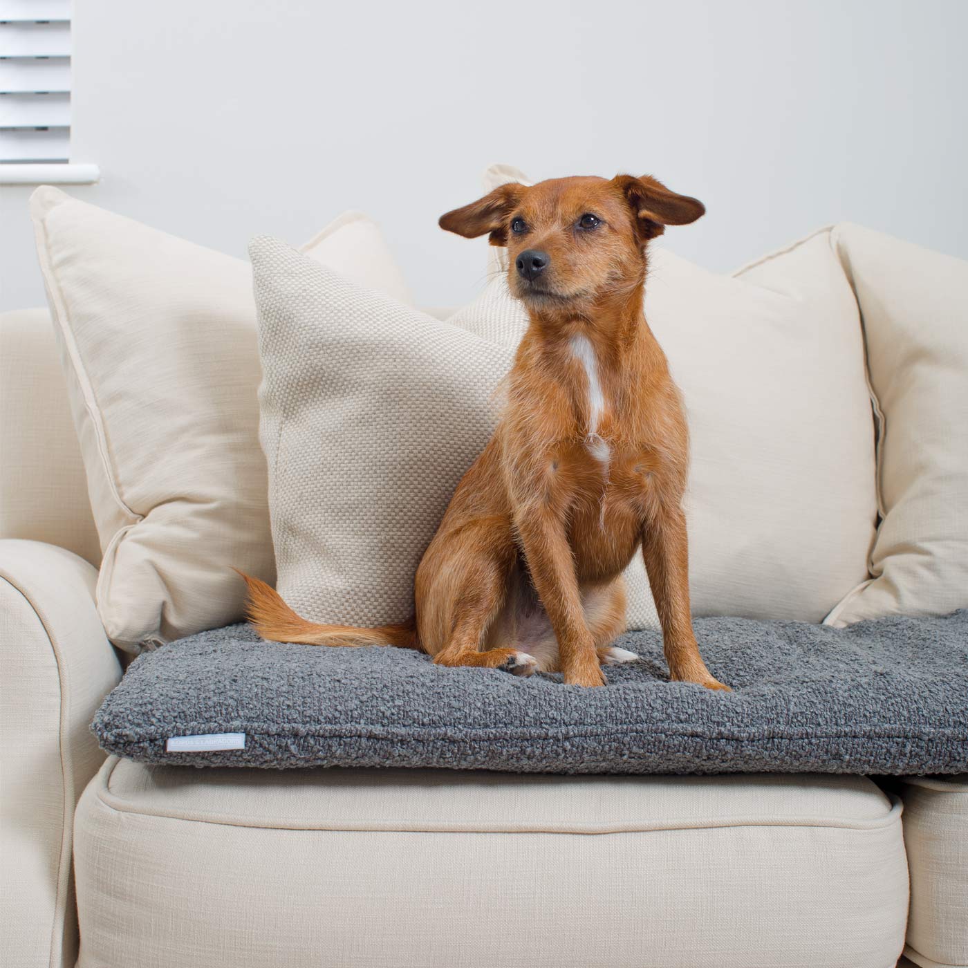 Discover Our Luxury Boucle Couch Topper, The Perfect Pet couch Accessory In Stunning Granite! Available Now at Lords & Labradors US