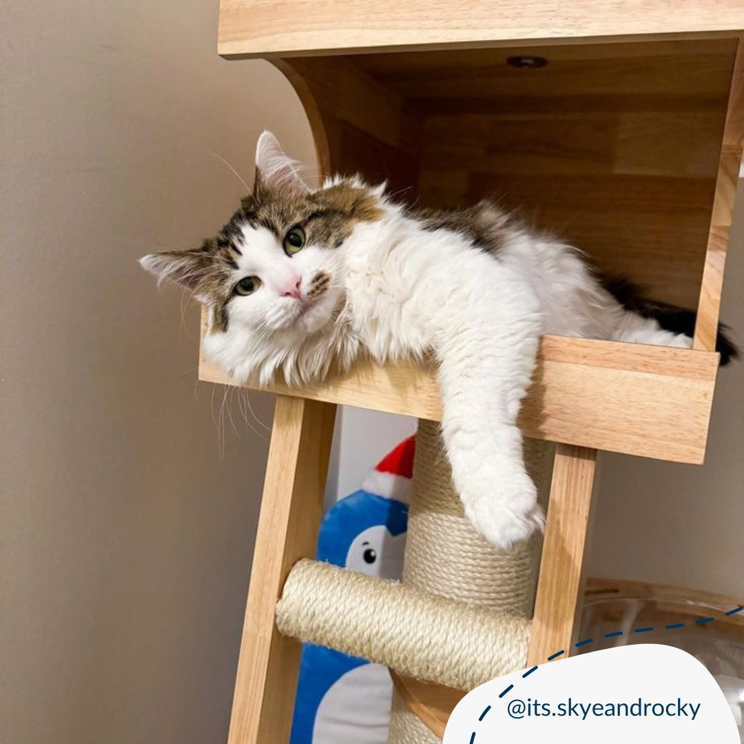 Discover the Ultimate Cat Tree, The Helsinki The Levels Cat Play Centre. Present your cat with the perfect cat play centre! Crafted using durable and long-lasting wood, this modern cat play centre features hanging toys to hangout spots, multiple levels for cats to explore, soft, plush hammock to snuggle into and sisal wrapped post for scratching! Available Now at Lords & Labradors US