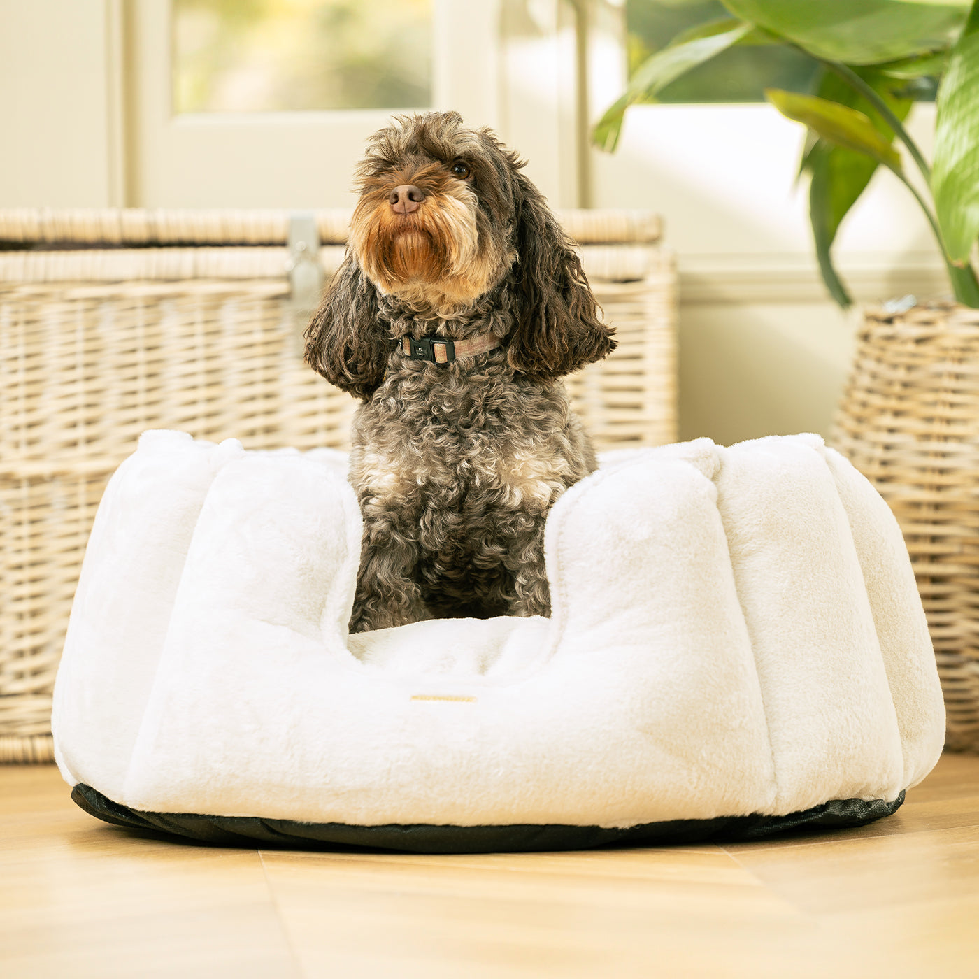 Discover Our Luxurious High Wall Bed For Dogs, Featuring inner pillow with plush teddy fleece on one side To Craft The Perfect Cat Bed In Stunning Anti-Anxiety Cream Faux Fur! Available To Personalize Now at Lords & Labradors US