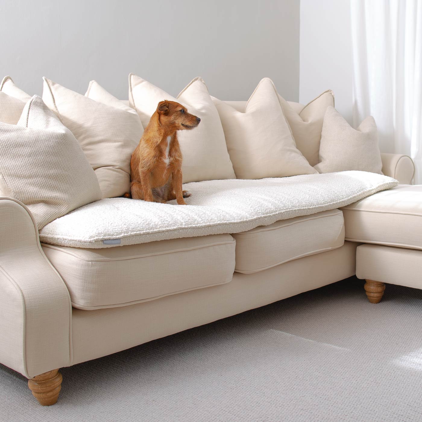 Discover Our Luxury Boucle Couch Topper, The Perfect Pet couch Accessory In Stunning Ivory! Available Now at Lords & Labradors US