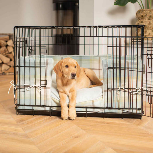 Luxury Dog Cage Bumper, Balmoral Duck Egg Cage Bumper Cover The Perfect Dog Cage Accessory, Available To Personalize Now at Lords & Labradors US