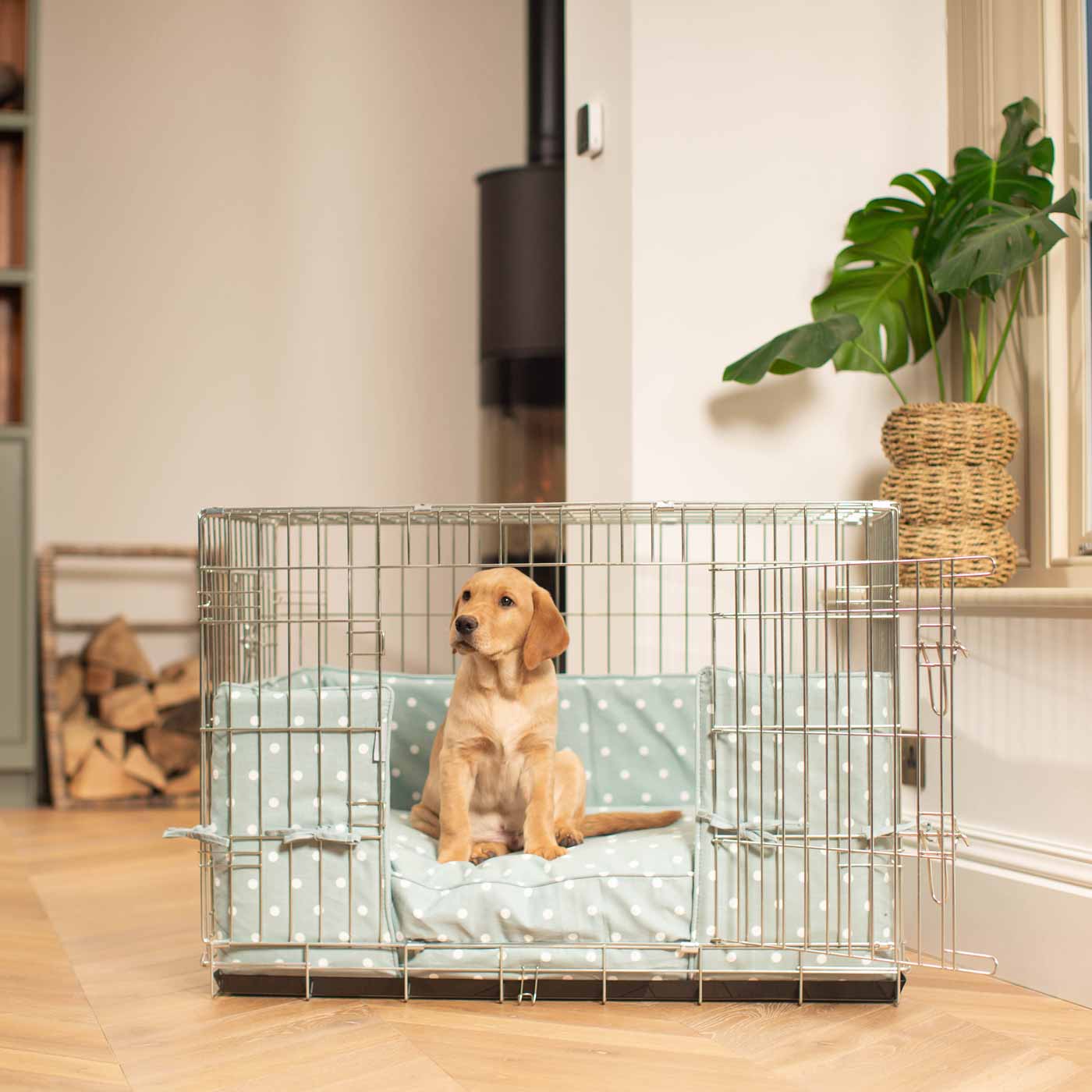 Luxury Gold Dog Cage Set With Bumper, The Perfect Dog Crate For The Ultimate Naptime, Available Now at Lords & Labradors US