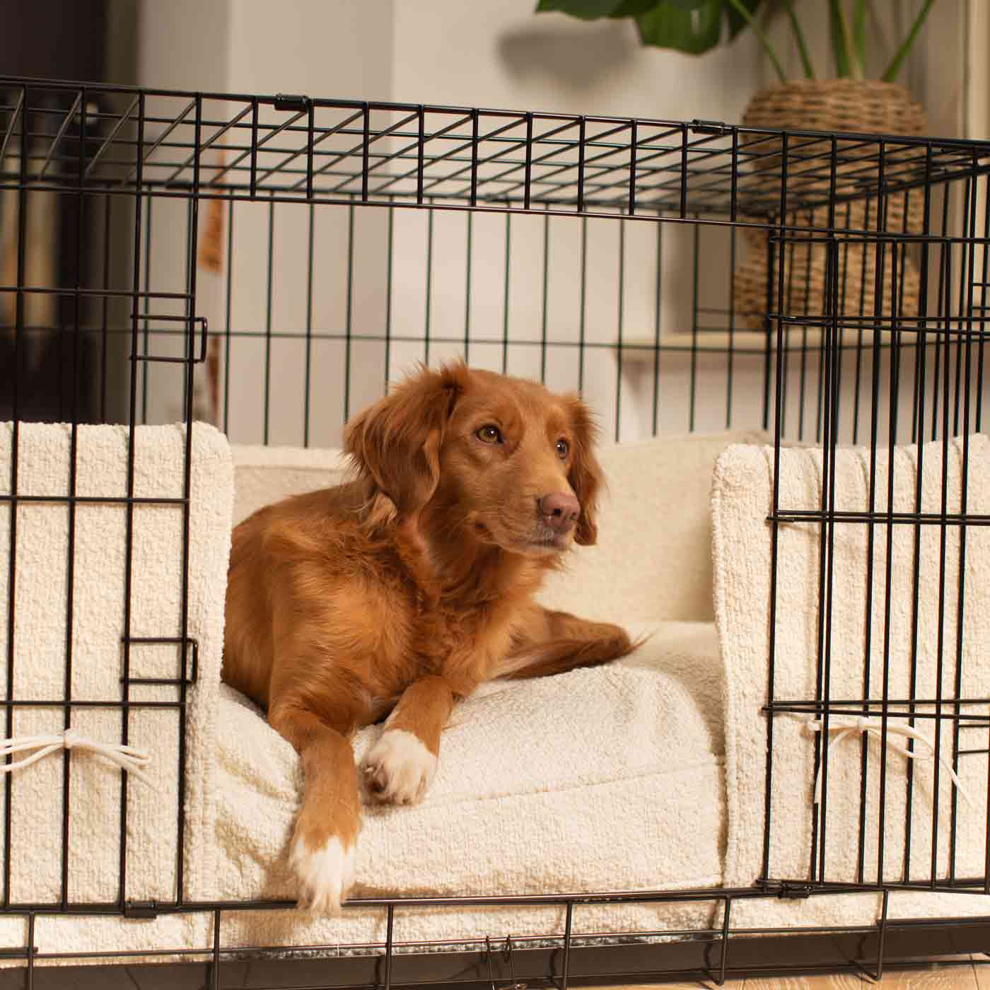 Luxury Dog Cage Bumper, Ivory Bouclé Cage Bumper Cover The Perfect Dog Cage Accessory, Available To Personalize Now at Lords & Labradors US