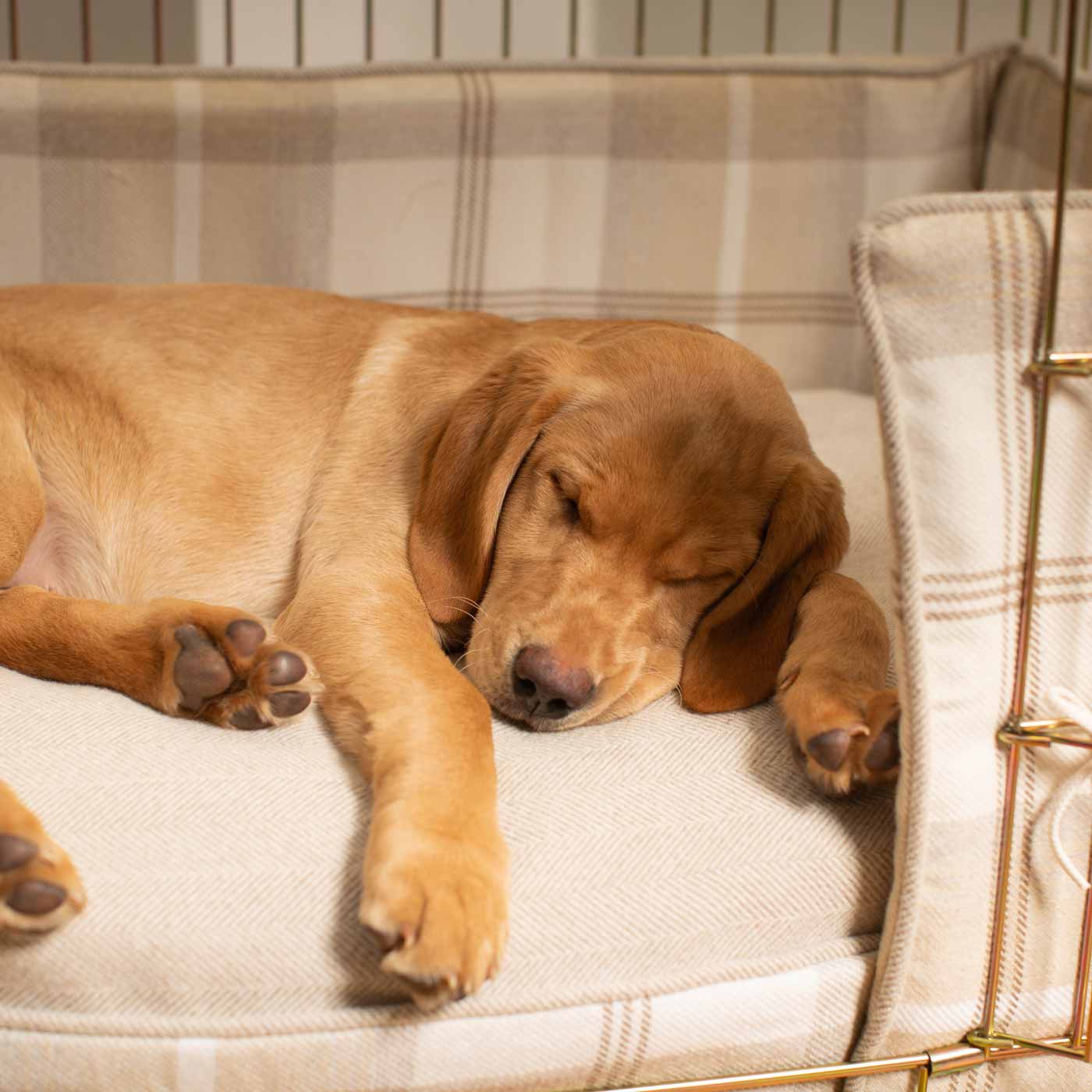 Luxury Dog Cage Bumper, Balmoral Natural Tweed Cage Bumper Cover The Perfect Dog Cage Accessory, Available To Personalize Now at Lords & Labradors US