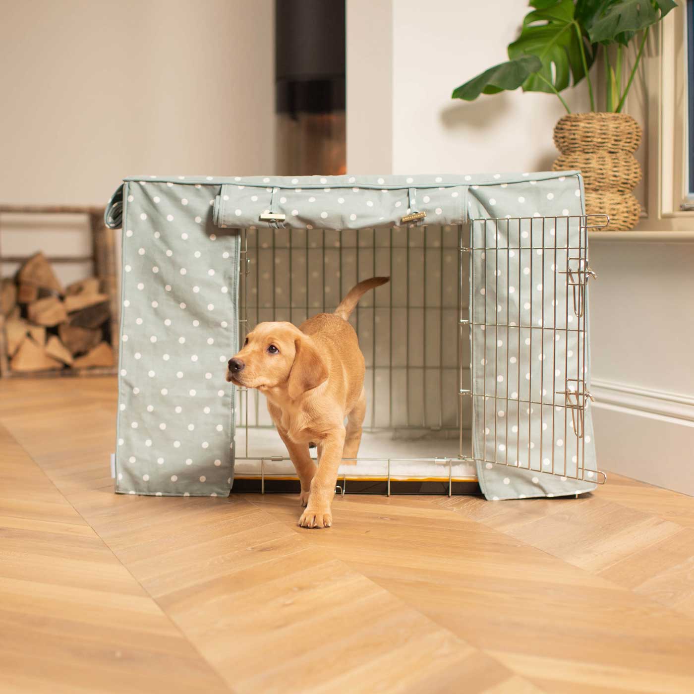 Luxury Silver Dog Cage With Cage Cover, in Duck Egg Spot. The Perfect Dog Crate For The Ultimate Naptime, Available Now to Personalize at Lords & Labradors US
