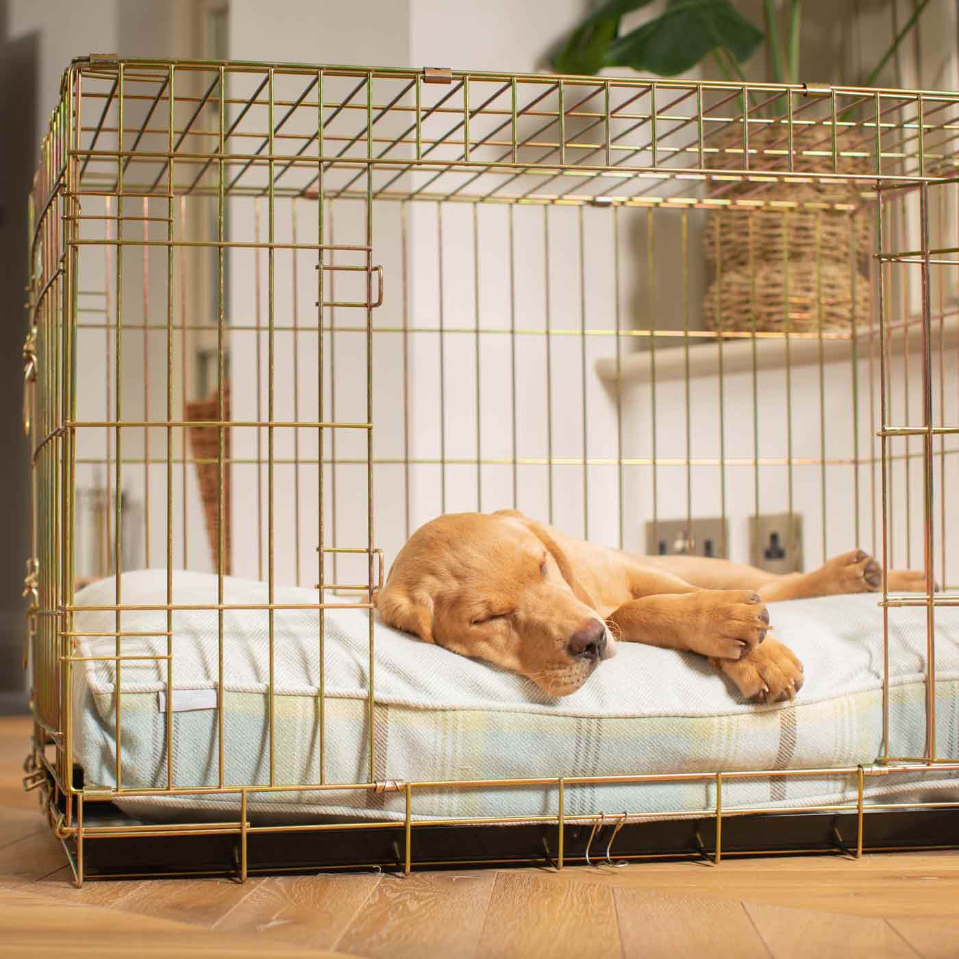 Luxury Dog Cage Cushion, Balmoral Duck Egg Tweed Cage Cushion The Perfect Dog Cage Accessory, Available To Personalize Now at Lords & Labradors US