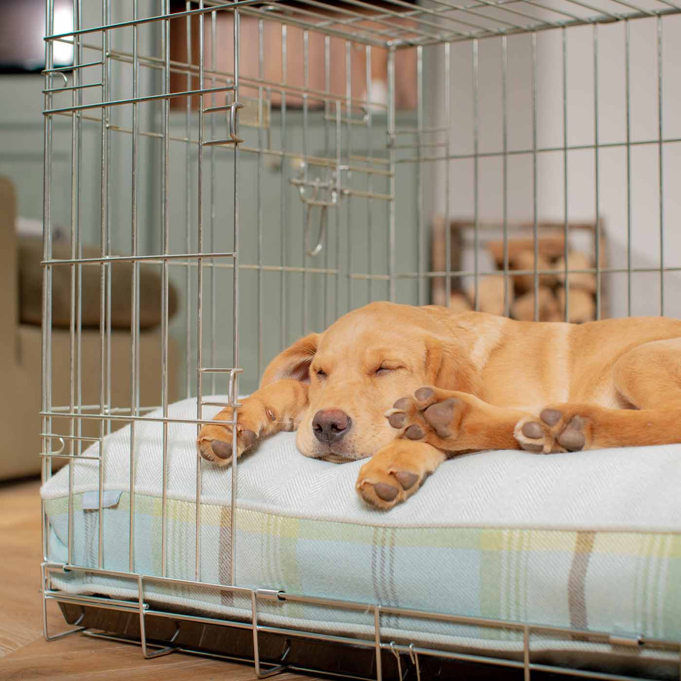 Luxury Dog Cage Cushion, Balmoral Duck Egg Tweed Cage Cushion The Perfect Dog Cage Accessory, Available To Personalize Now at Lords & Labradors US