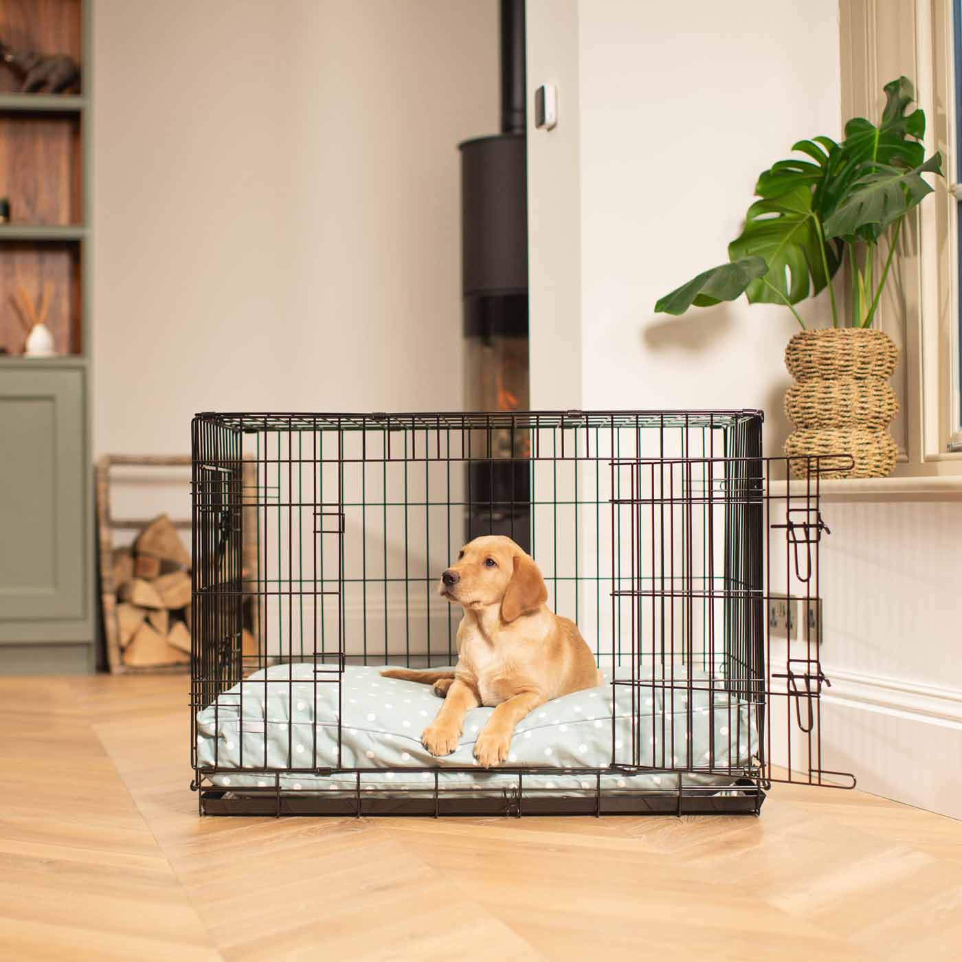 Luxury Dog Cage Cushion, Duck Egg Spot Cage Cushion The Perfect Dog Cage Accessory, Now Available To Personalize at Lords & Labradors US