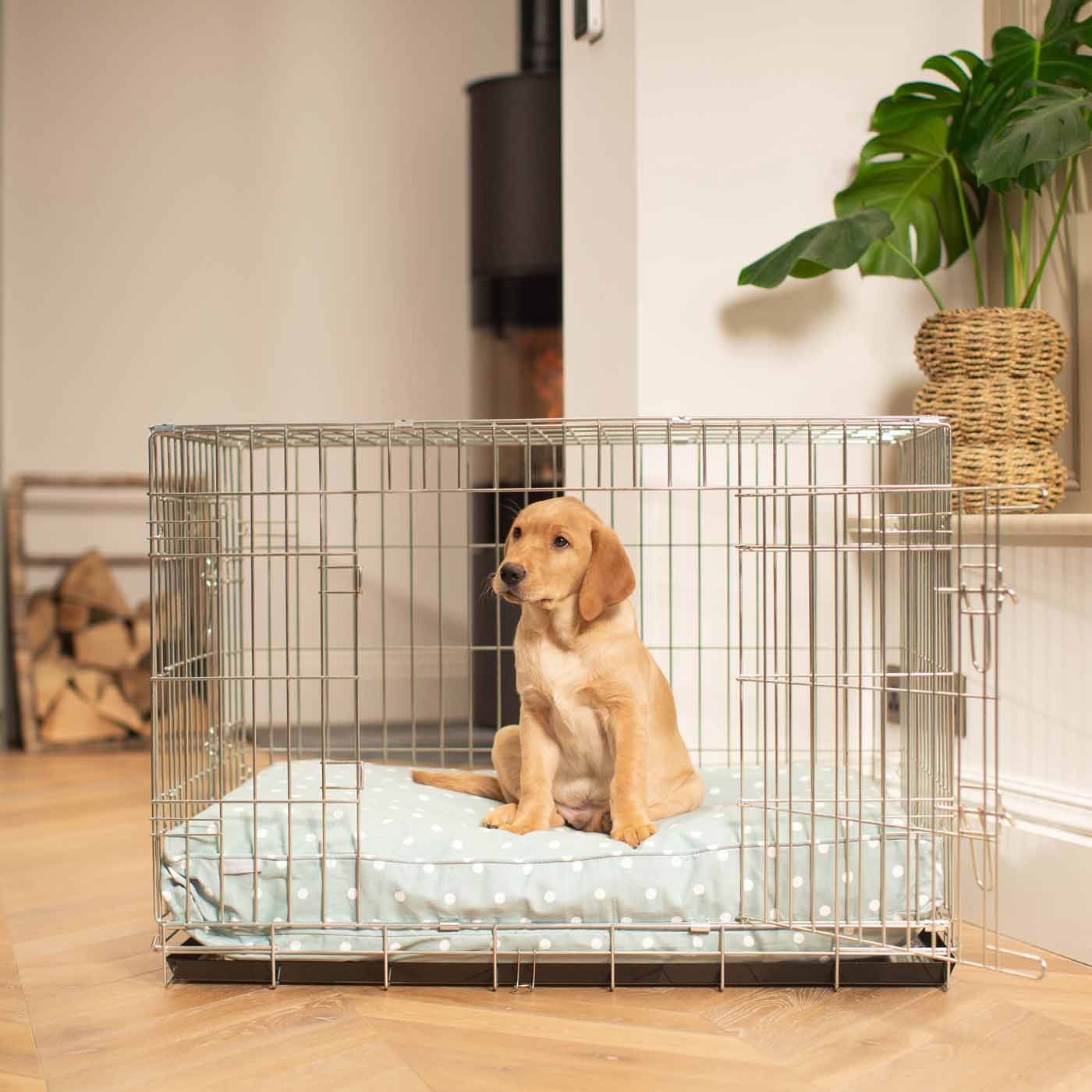 Luxury Dog Cage Cushion, Duck Egg Spot Cage Cushion The Perfect Dog Cage Accessory, Now Available To Personalize at Lords & Labradors US