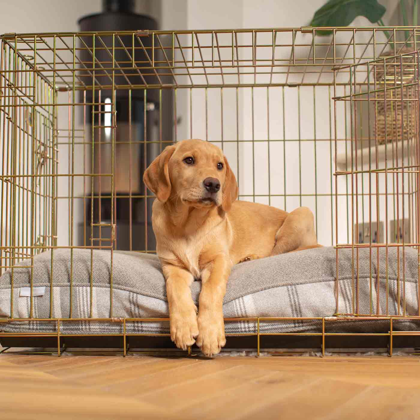Luxury Dog Cage Cushion, Balmoral Dove Grey Tweed Cage Cushion. The Perfect Dog Cage Accessory, Available To Personalize Now at Lords & Labradors US
