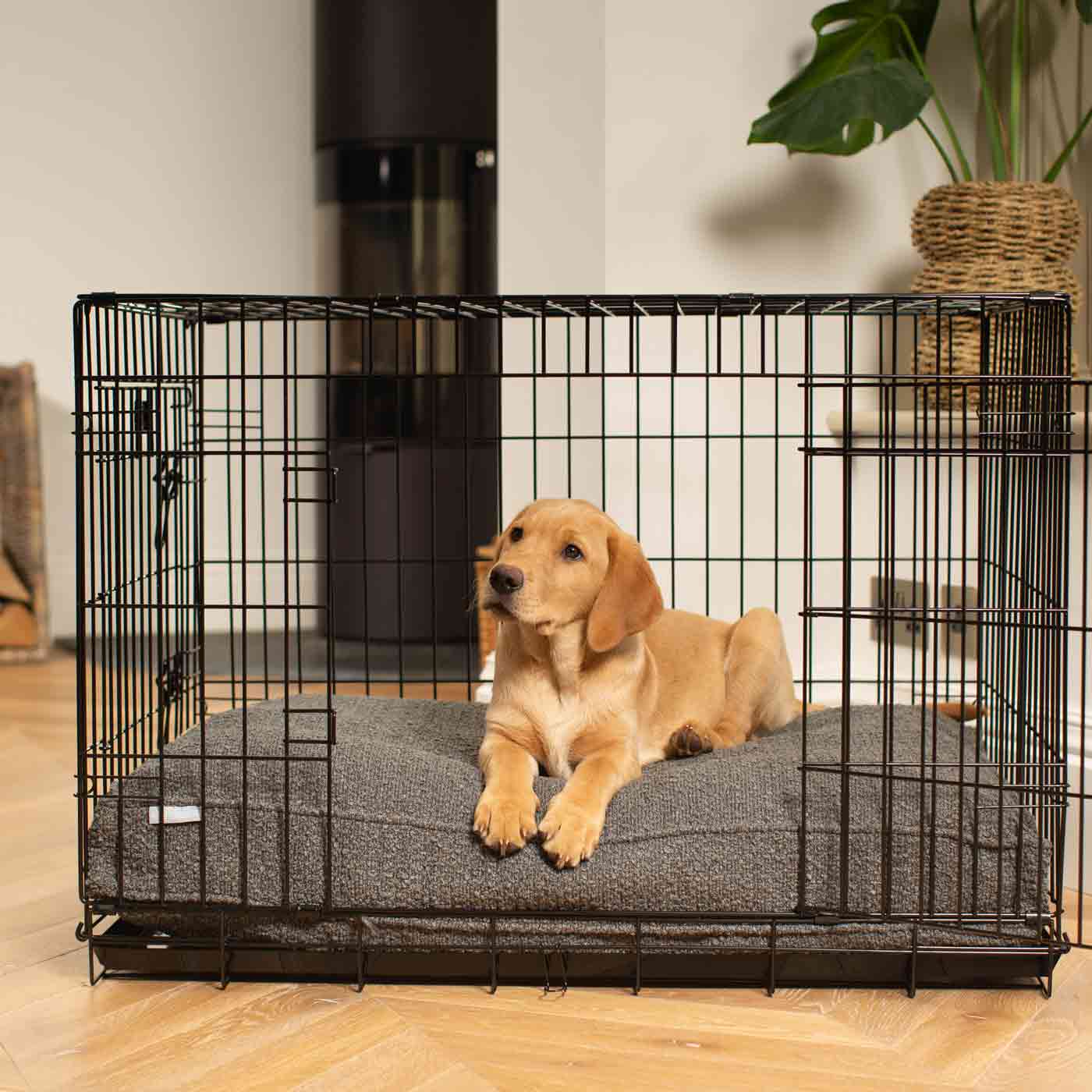 Dog Cushion in Granite Bouclé by Lords & Labradors