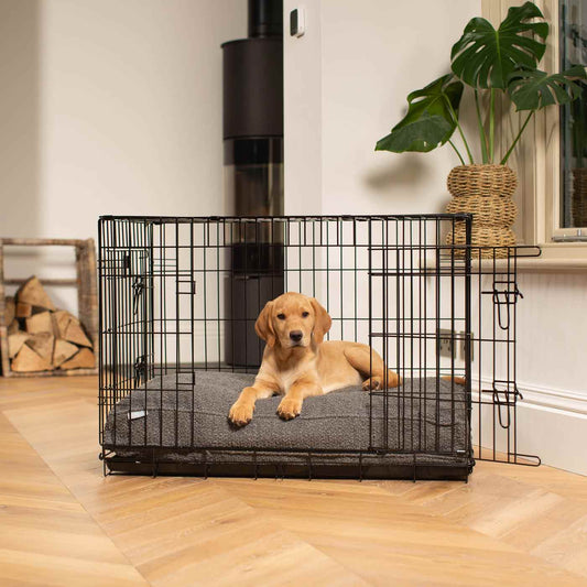 Dog Cushion in Granite Bouclé by Lords & Labradors