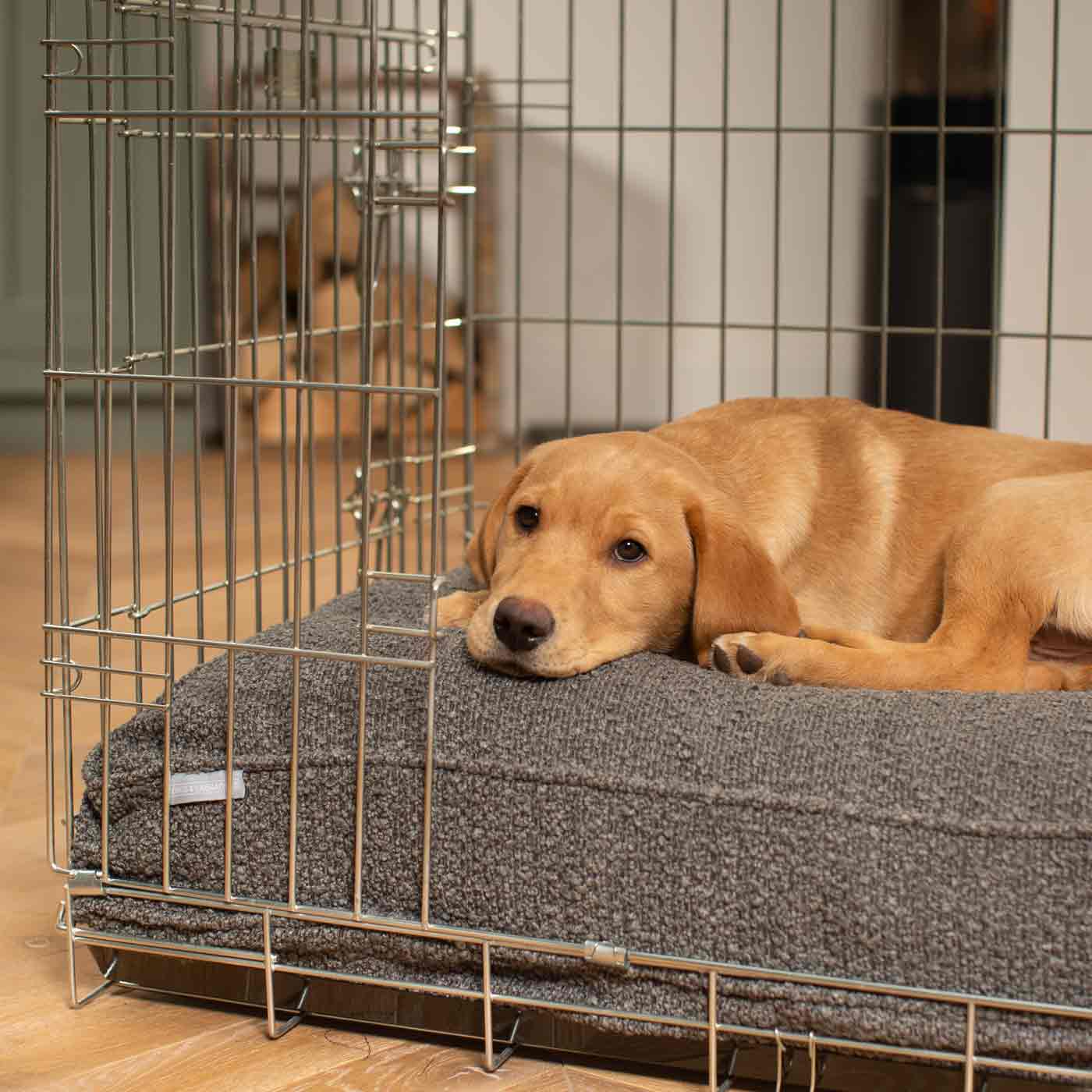 Dog Cushion in Granite Bouclé by Lords & Labradors