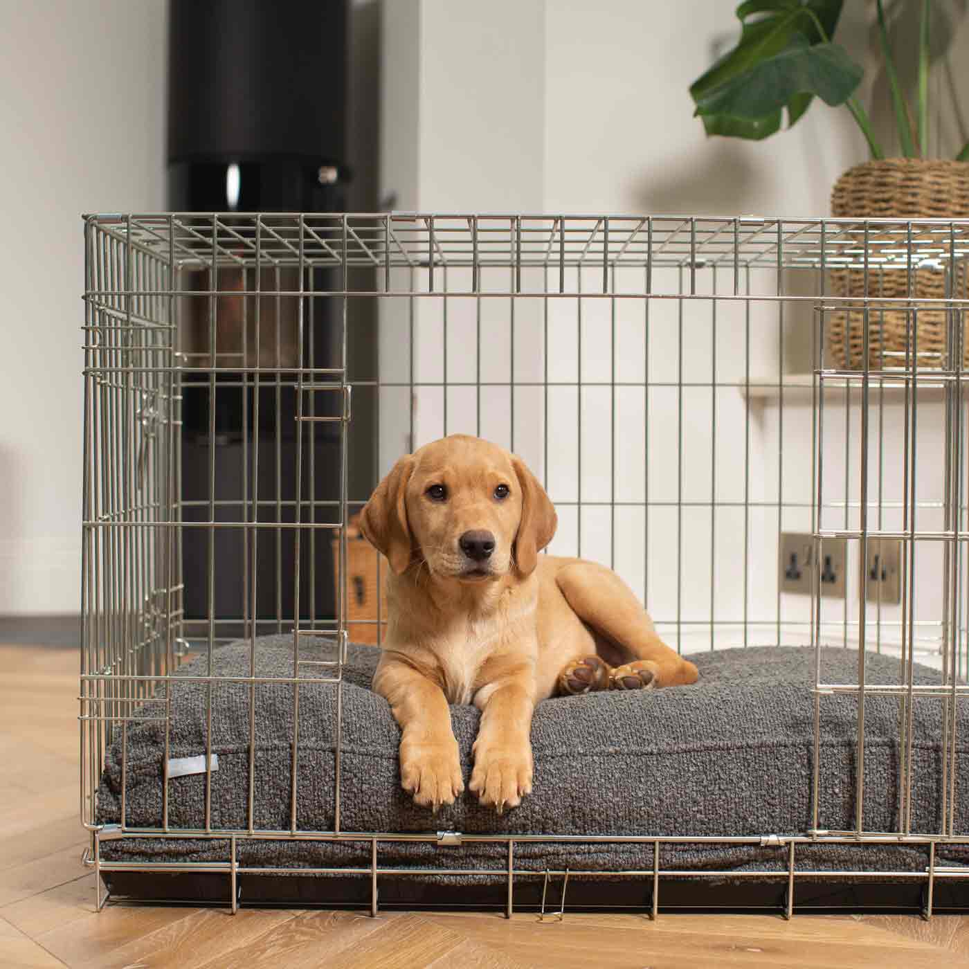 Dog Cushion in Granite Bouclé by Lords & Labradors