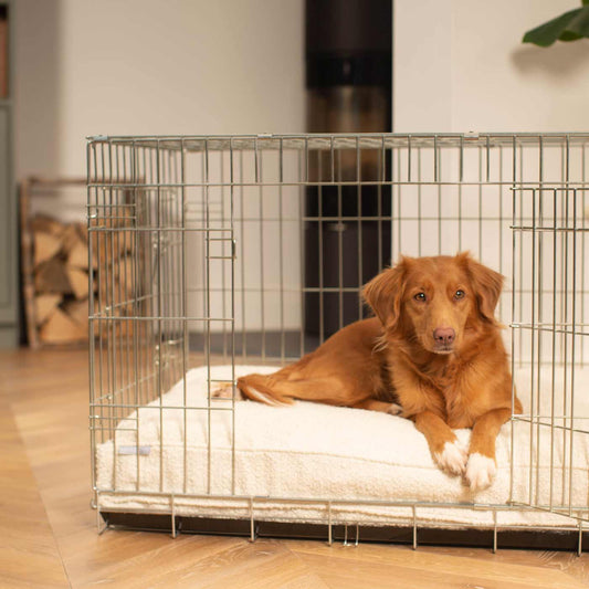 Luxury Dog Cage Cushion, Ivory Bouclé Cage Cushion The Perfect Dog Cage Accessory, Available To Personalize Now at Lords & Labradors US