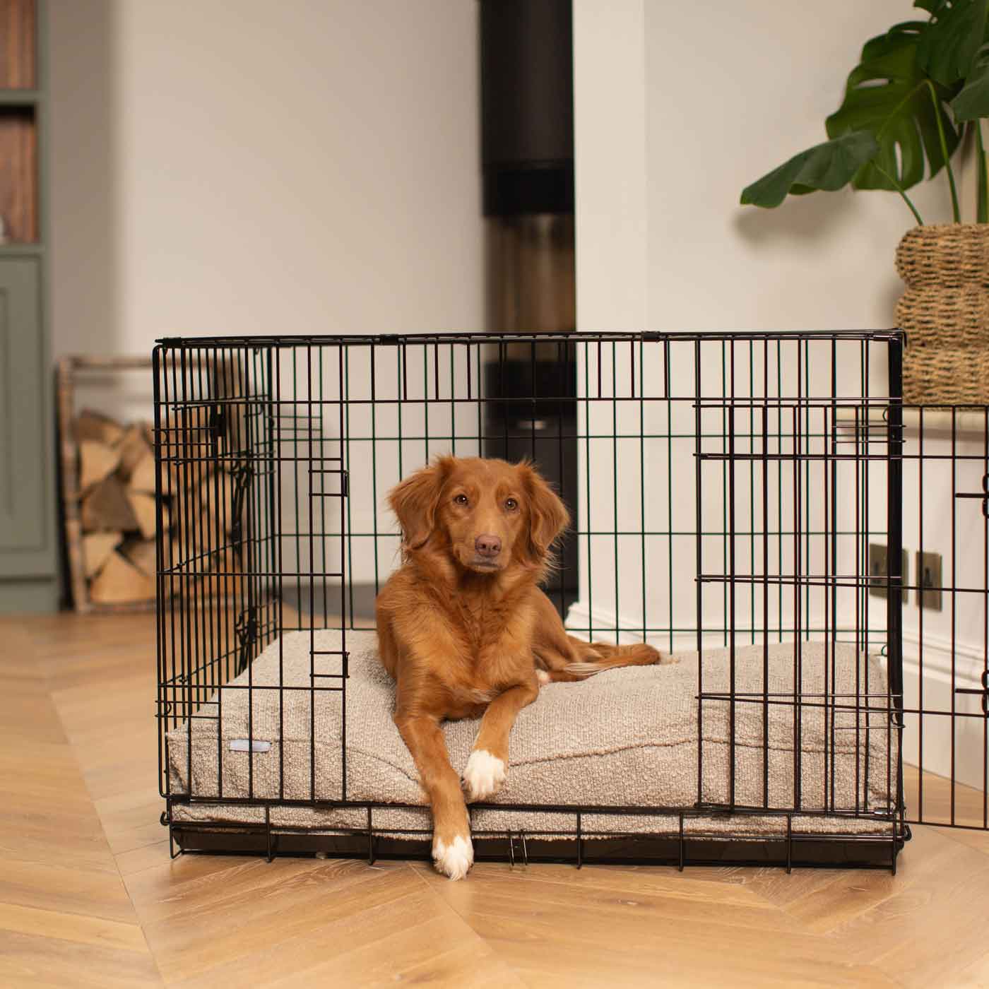 Luxury Dog Cage Cushion, Mink Bouclé Cage Cushion The Perfect Dog Cage Accessory, Available To Personalize Now at Lords & Labradors