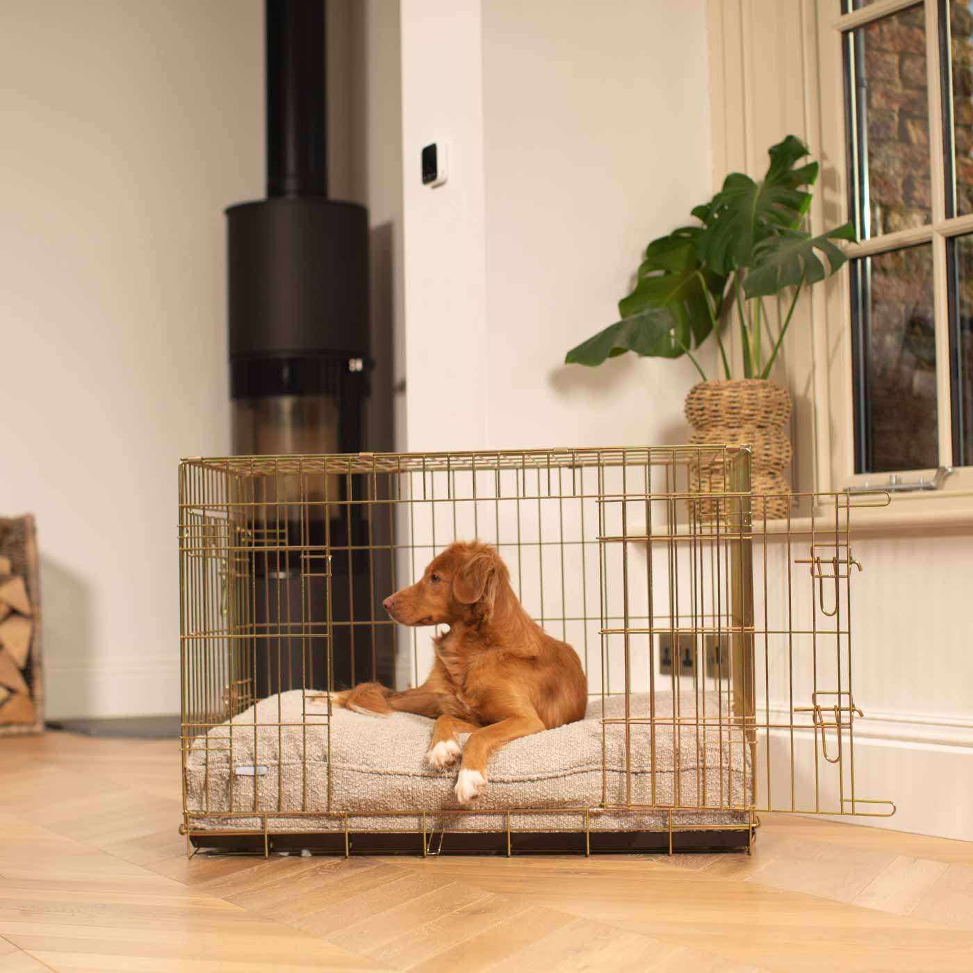 Luxury Dog Cage Cushion, Mink Bouclé Cage Cushion The Perfect Dog Cage Accessory, Available To Personalize Now at Lords & Labradors