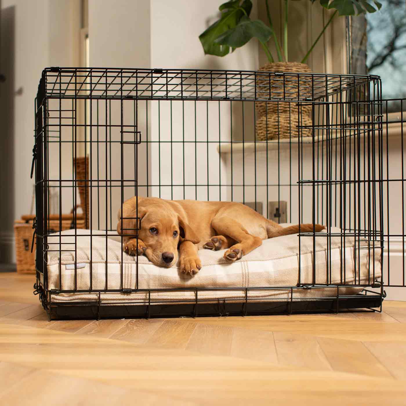 Luxury Black Dog Cage Set With Cushion, The Perfect Dog Cage For The Ultimate Naptime, Now Available To Personalize at Lords & Labradors US