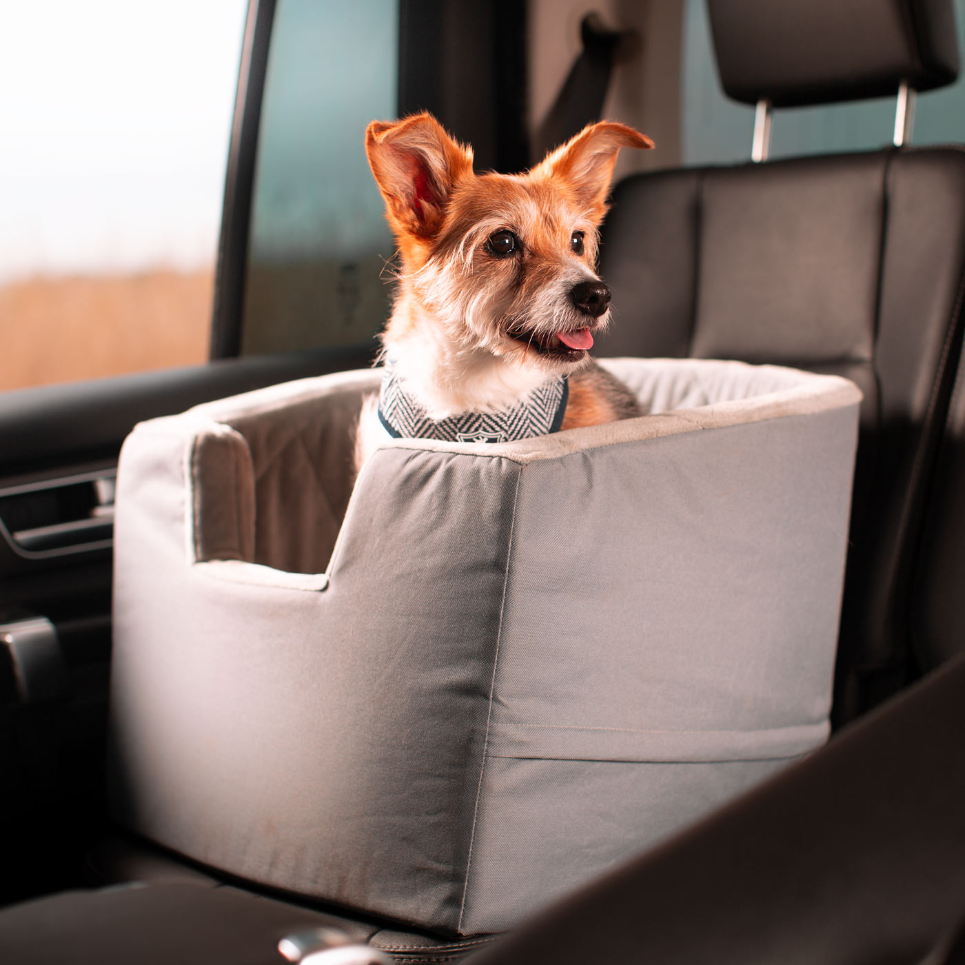Embark on the perfect pet travel with our luxury car booster seat! Featuring removable cushion with foam padding for extra comfort! Available now at Lords & Labradors US