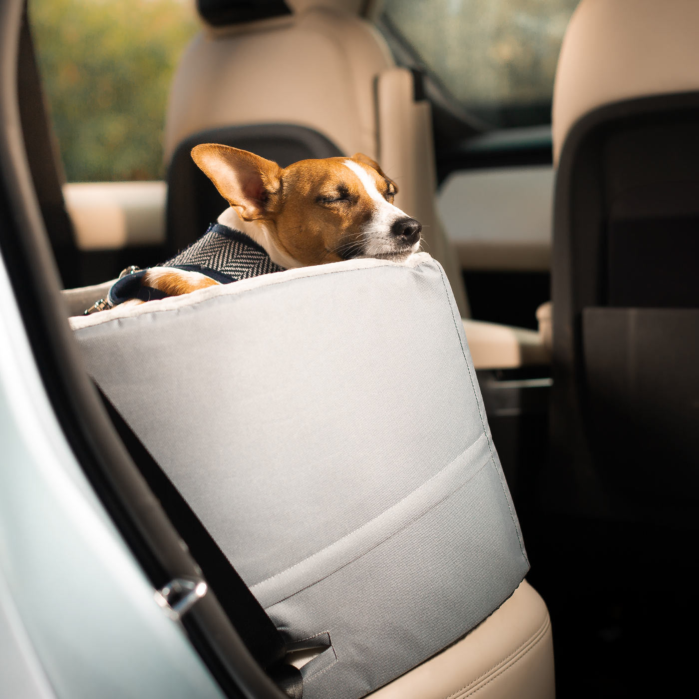Embark on the perfect pet travel with our luxury car booster seat! Featuring removable cushion with foam padding for extra comfort! Available now at Lords & Labradors US