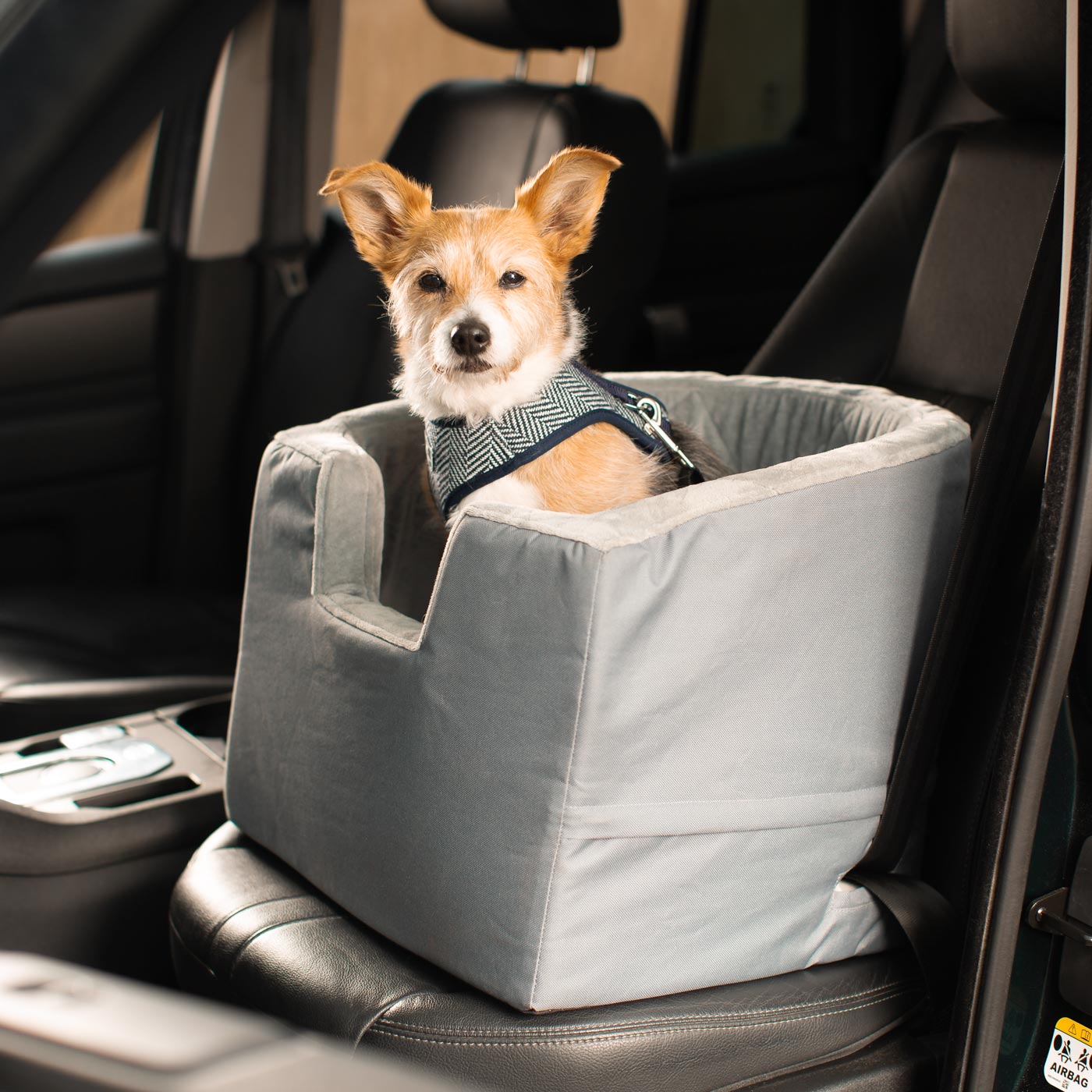 Embark on the perfect pet travel with our luxury car booster seat! Featuring removable cushion with foam padding for extra comfort! Available now at Lords & Labradors US