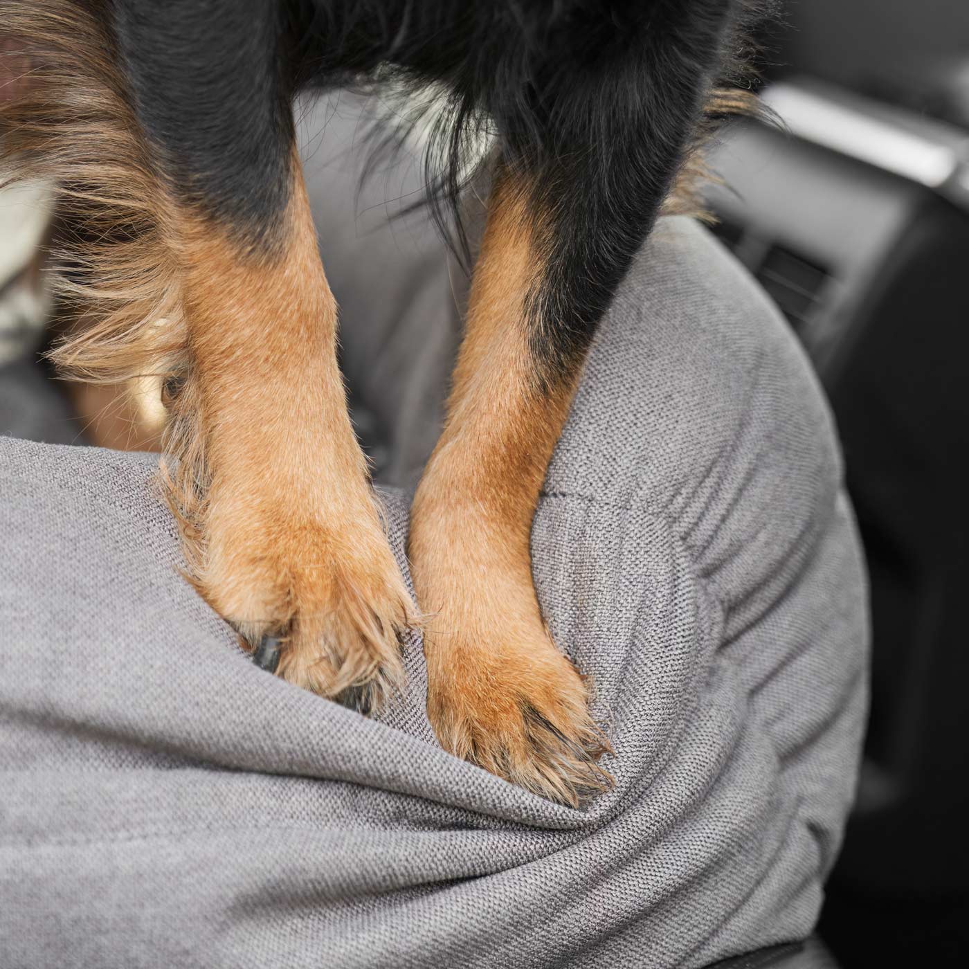 Embark on the perfect pet travel with our luxury Double Easy Traveller Seat, in two colors Truffle and Slate! Featuring removable inner cushion with cover for easy cleaning! Available now at Lords & Labradors US