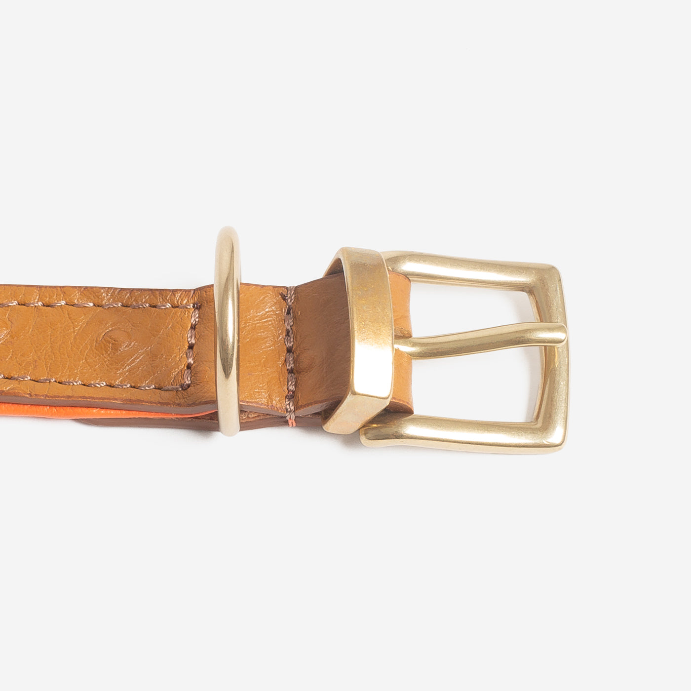 Discover dog walking luxury with our handcrafted Italian Ostrich leather dog Collar in Tan & Orange! The perfect Collar for dogs available now at Lords & Labradors US