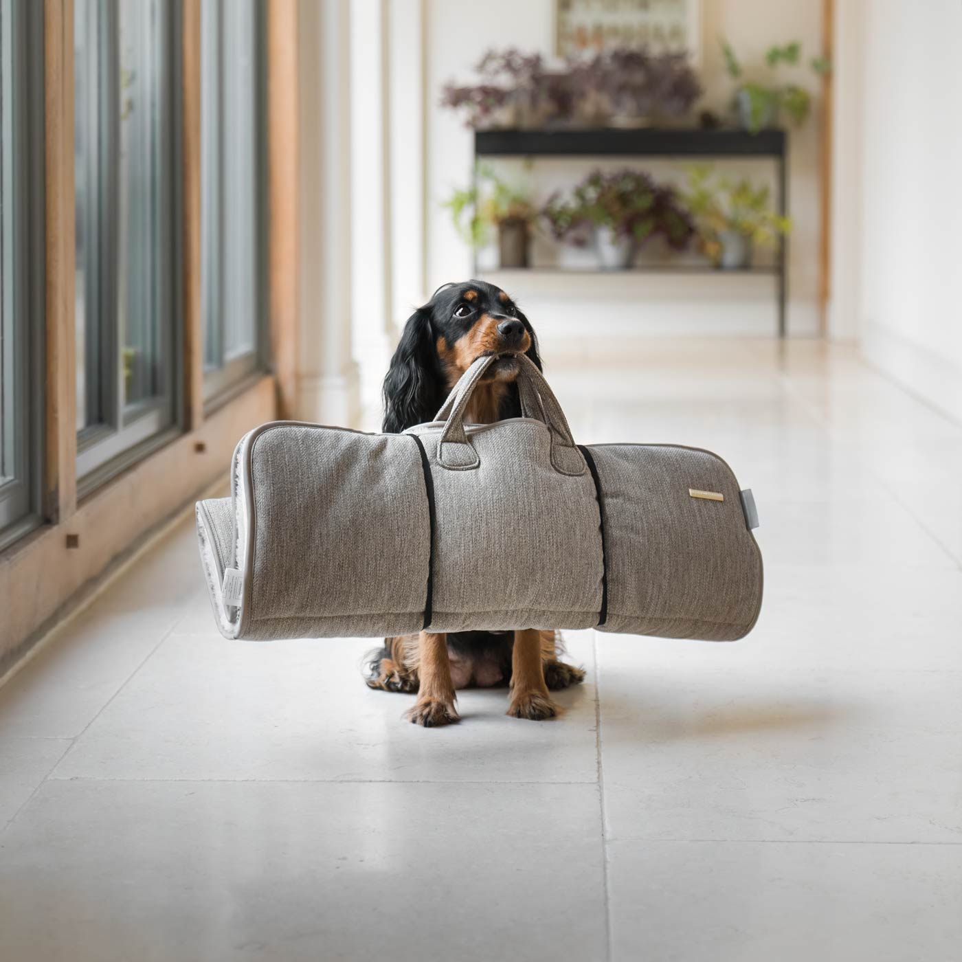 Embark on the perfect pet travel with our luxury Roll & Go Travel Mat! Featuring handles for easy carrying, the perfect addition that can be used on the Go in the car, at home or as a travel bed! Available now at Lords & Labradors US