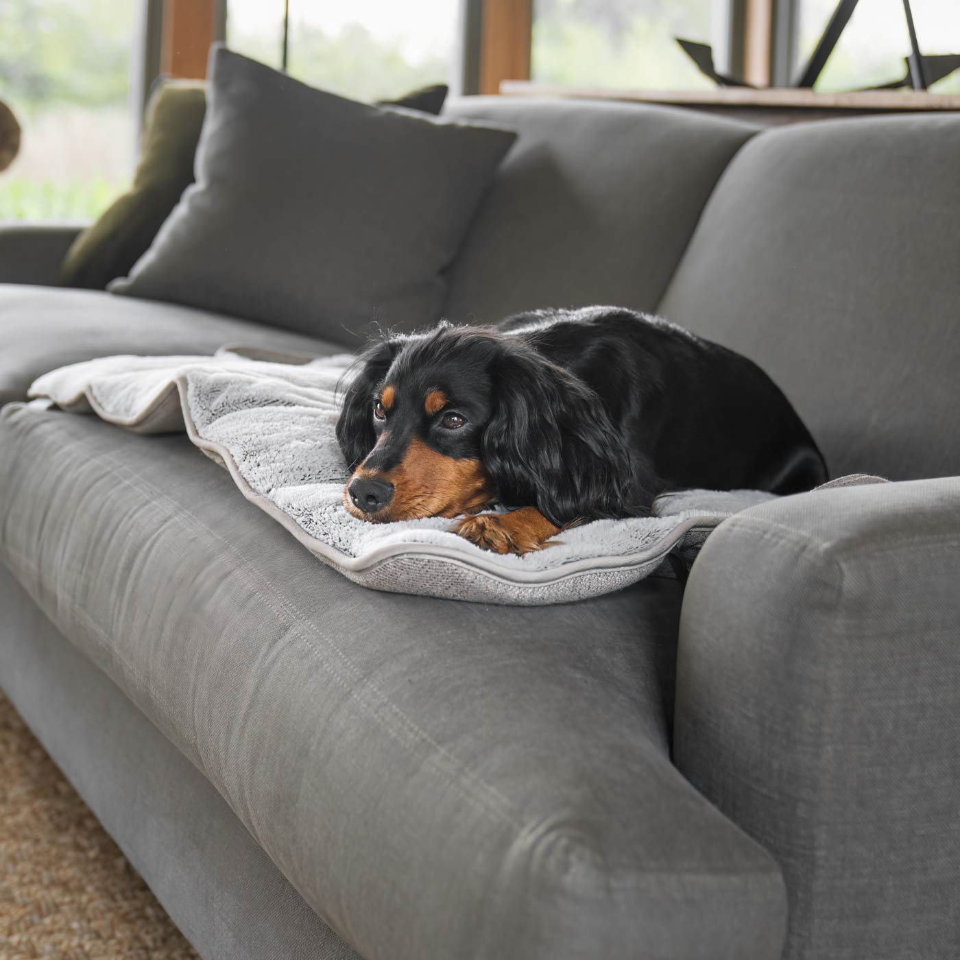 Embark on the perfect pet travel with our luxury Roll & Go Travel Mat! Featuring handles for easy carrying, the perfect addition that can be used on the Go in the car, at home or as a travel bed! Available now at Lords & Labradors US