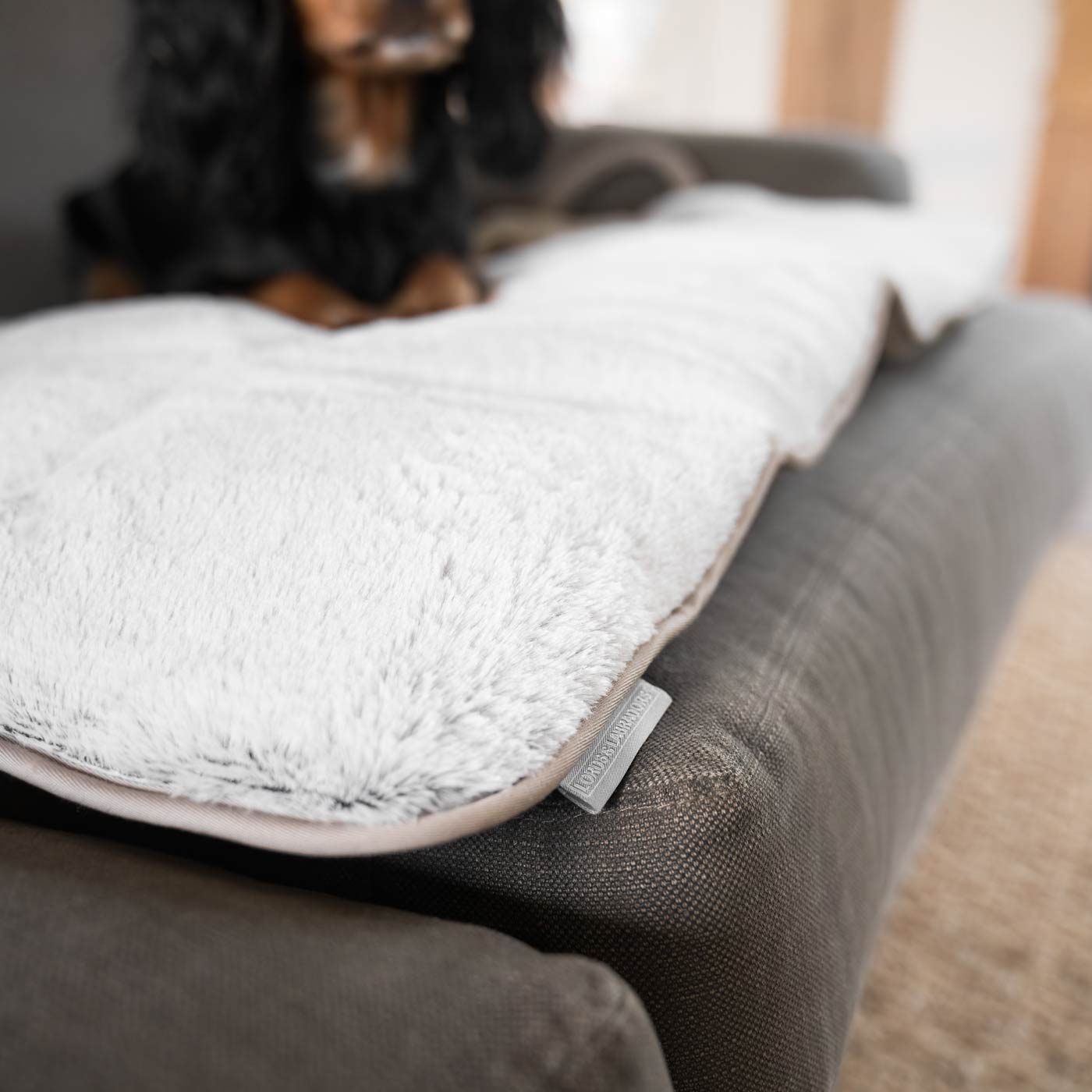 Embark on the perfect pet travel with our luxury Roll & Go Travel Mat! Featuring handles for easy carrying, the perfect addition that can be used on the Go in the car, at home or as a travel bed! Available now at Lords & Labradors US