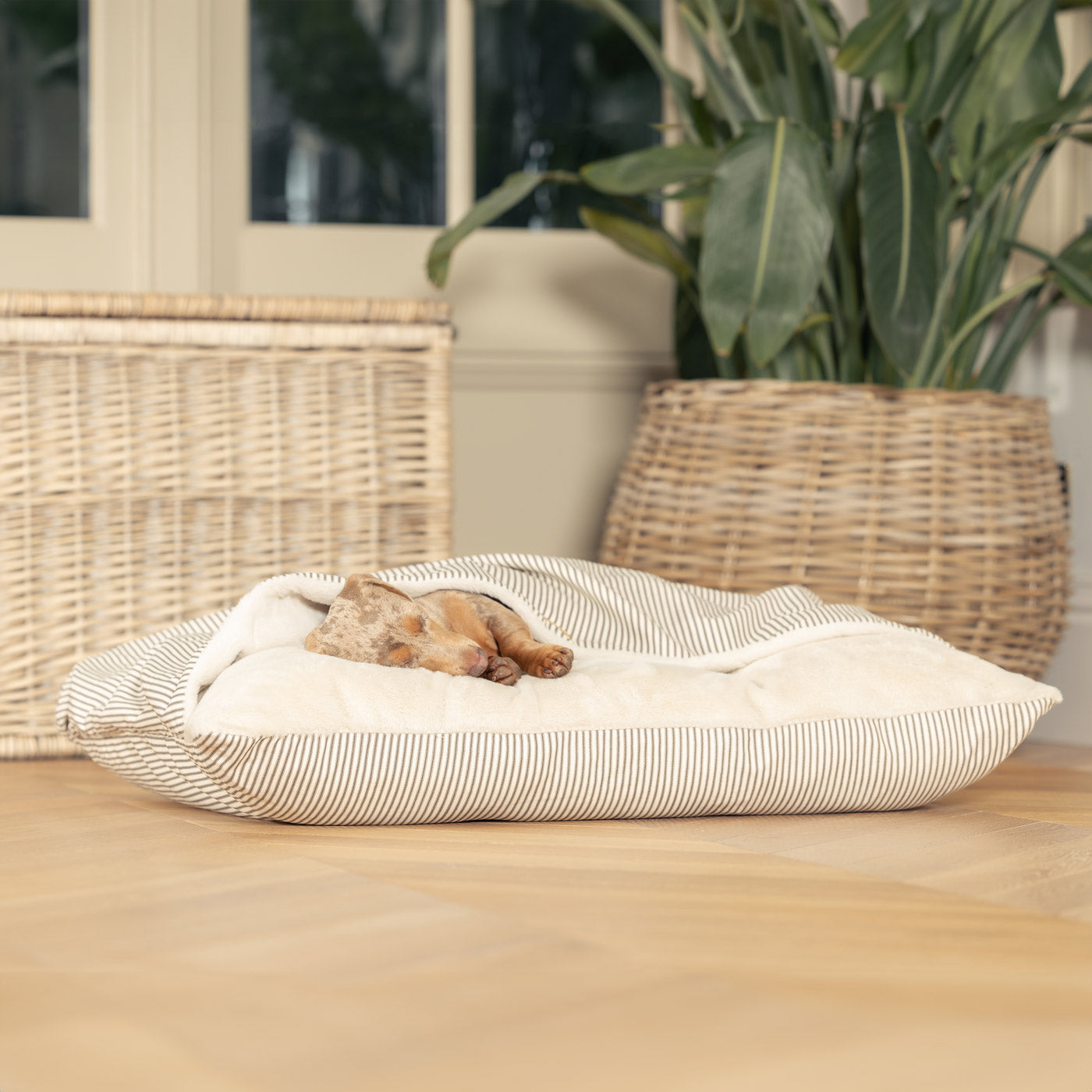 Discover The Perfect Burrow For Your Pet, Our Stunning Sleepy Burrow Dog Beds In Regency Stripe, Is The Perfect Bed Choice For Your Pet, Available Now at Lords & Labradors US