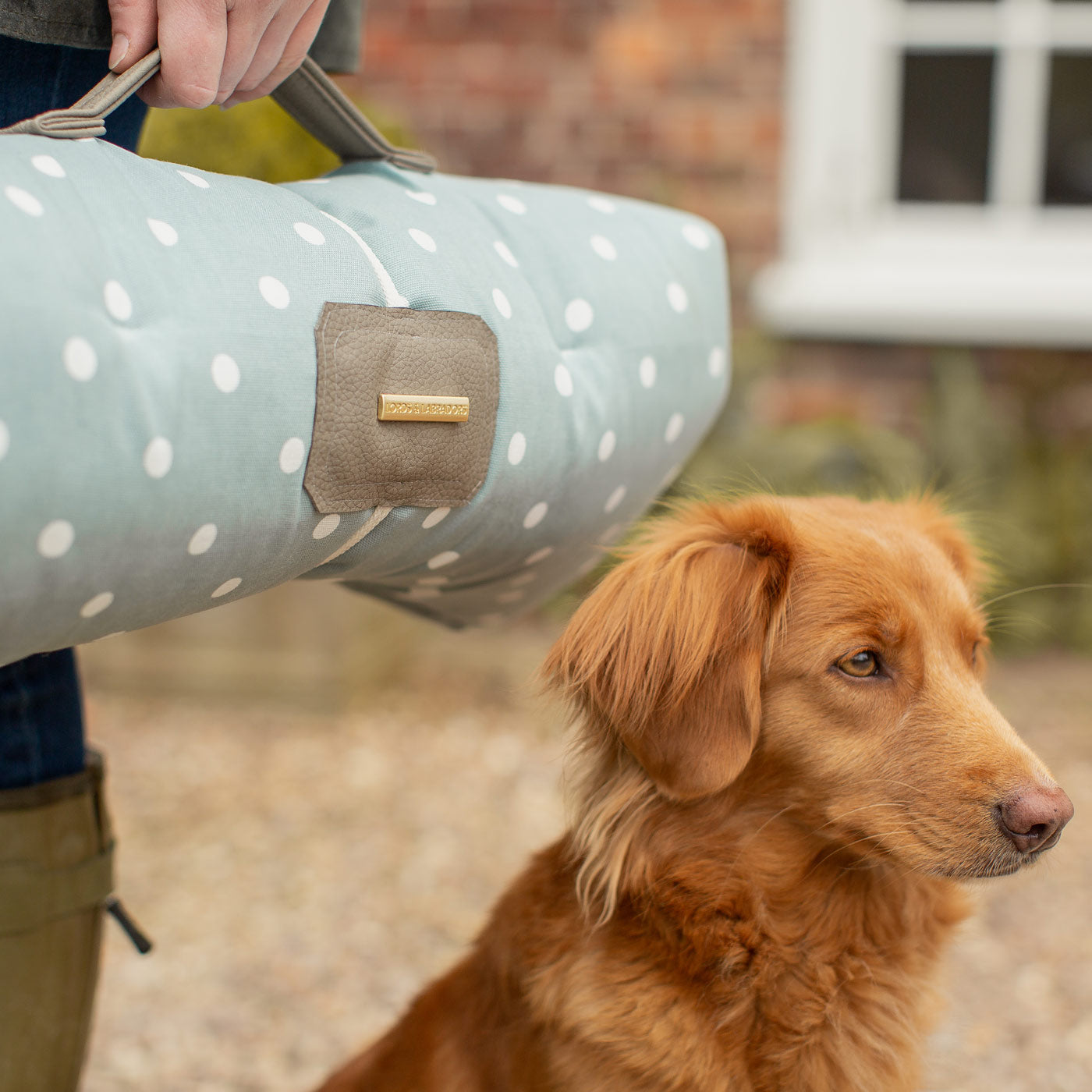 Embark on the perfect pet travel with our luxury Travel Mat in Essentials Duck Egg Spot. Featuring a Carry handle for on the move once Rolled up for easy storage, can be used as a seat cover, boot mat or travel bed! Available now at Lords & Labradors US