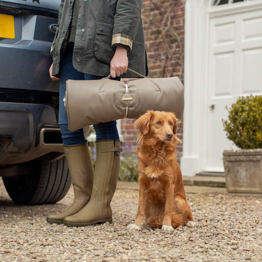 Embark on the perfect pet travel with our luxury Travel Mat in Rhino Camel. Featuring a Carry handle for on the move once Rolled up for easy storage, can be used as a seat cover, boot mat or travel bed! Available now at Lords & Labradors US