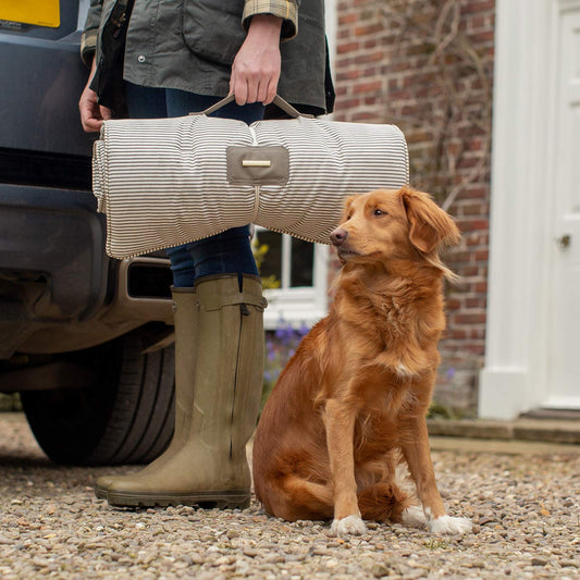 Embark on the perfect pet travel with our luxury Travel Mat in Regency Stripe. Featuring a Carry handle for on the move once Rolled up for easy storage, can be used as a seat cover, boot mat or travel bed! Available now at Lords & Labradors US