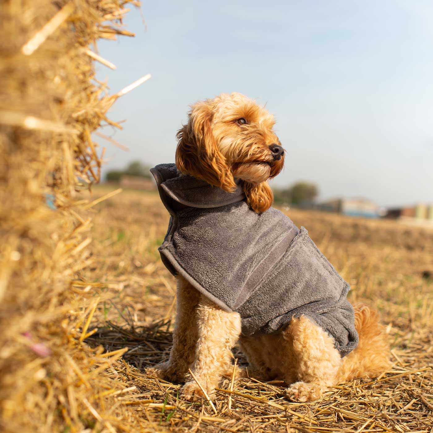 Introducing the ultimate bamboo dog drying coat in beautiful grey Gun Metal, made from luxurious bamboo to aid sensitive skin featuring adjustable Velcro neck and waist fastening with super absorbent material for easy pet drying! Available now at Lords & Labradors US, In five sizes and four colors to suit all breeds!