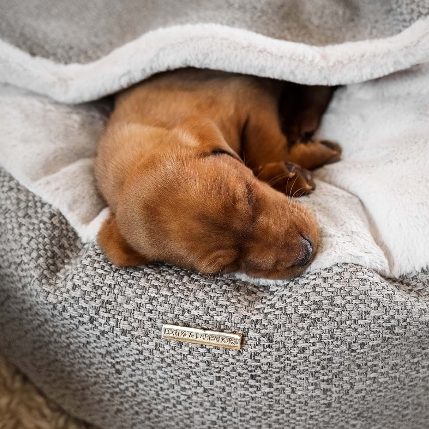 Discover This Luxurious Dog Den, Made Using Beautiful Herdwick Fabric To Craft The Perfect Den For Dogs! In Stunning Pebble, Available Now at Lords & Labradors US