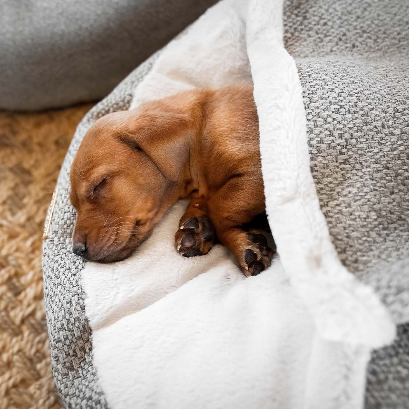 Discover This Luxurious Dog Den, Made Using Beautiful Herdwick Fabric To Craft The Perfect Den For Dogs! In Stunning Pebble, Available Now at Lords & Labradors US