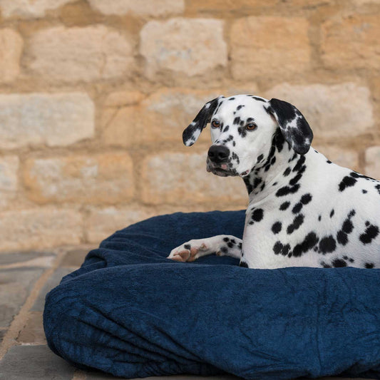 Introducing the ultimate bamboo dog drying cushion cover in beautiful Navy, made from luxurious bamboo to aid sensitive skin featuring elasticated hem for a snug fit with super absorbent material for easy pet drying! Available now at Lords & Labradors US, In three sizes and four colors to suit all breeds!